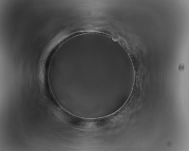 X0000103330295200809051216