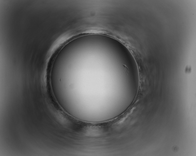 X0000103330296200809051216