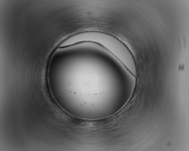 X0000103330297200809051216