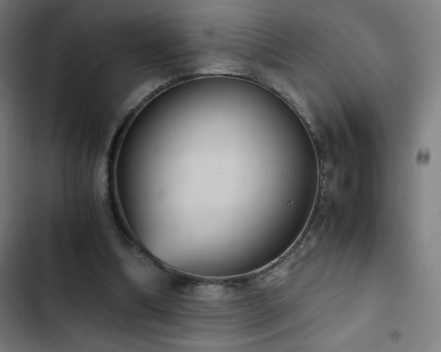 X0000103330298200809051216