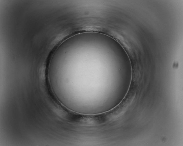 X0000103330299200809051216