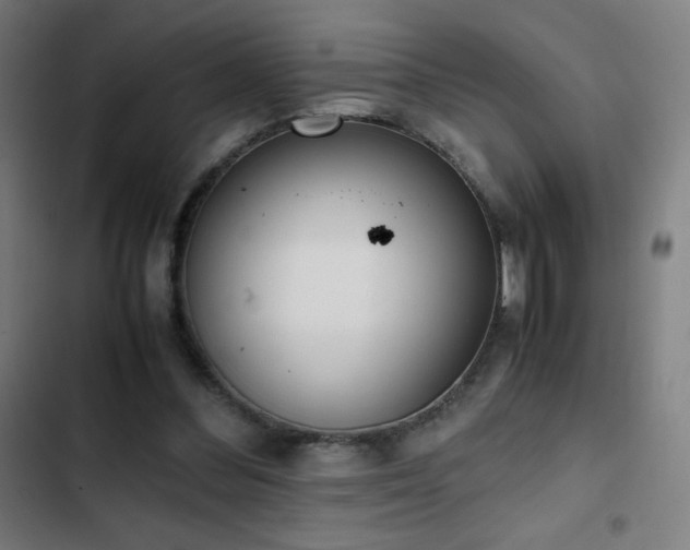 X0000103330300200809051216