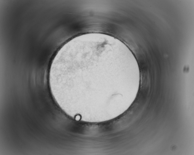 X0000103330301200809051216