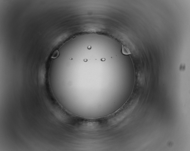 X0000103330304200809051216