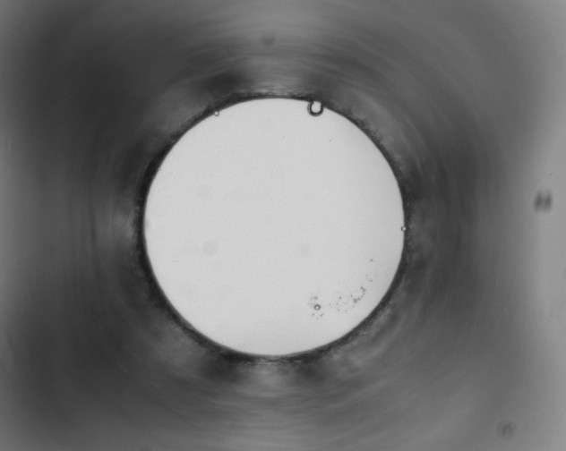 X0000103330305200809051216