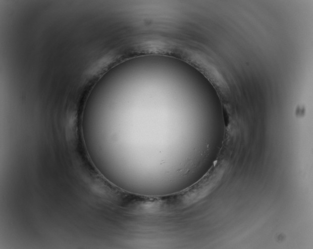 X0000103330306200809051216