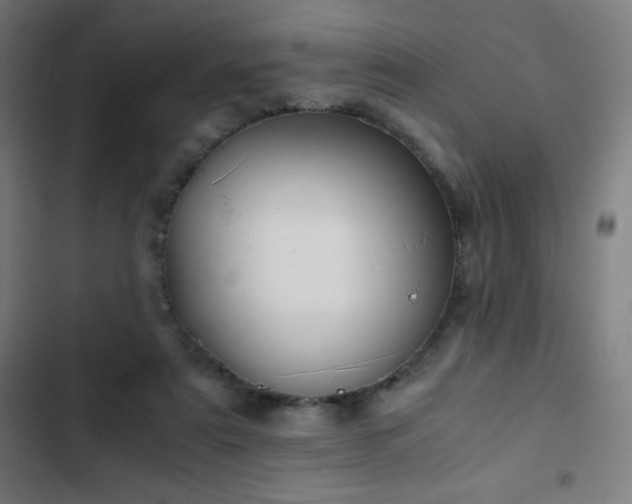 X0000103330307200809051216