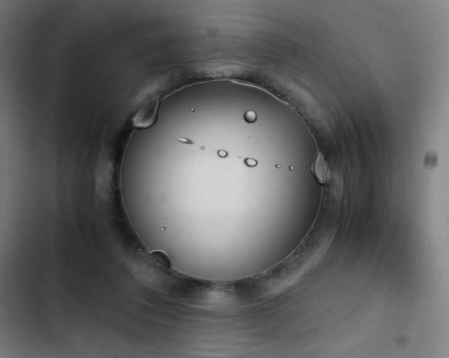 X0000103330308200809051216