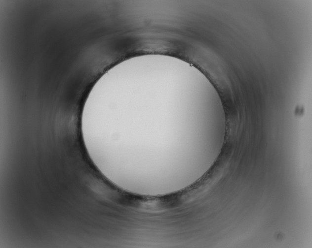 X0000103330309200809051216