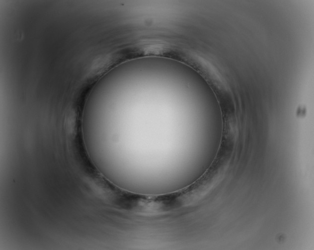 X0000103330311200809051216