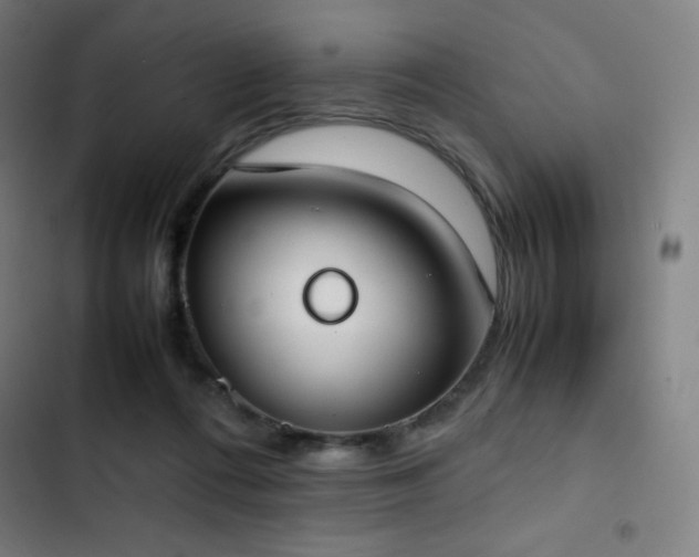 X0000103330312200809051216