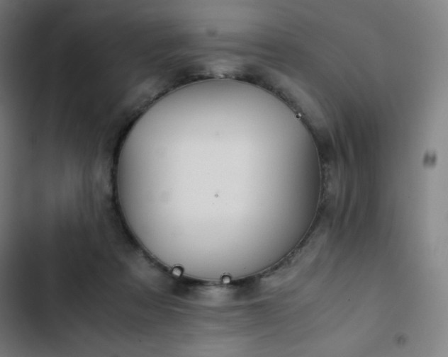 X0000103330313200809051216