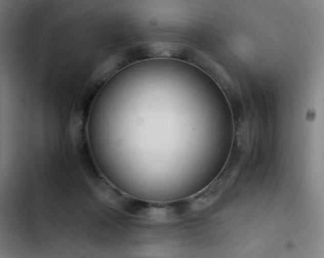 X0000103330314200809051216