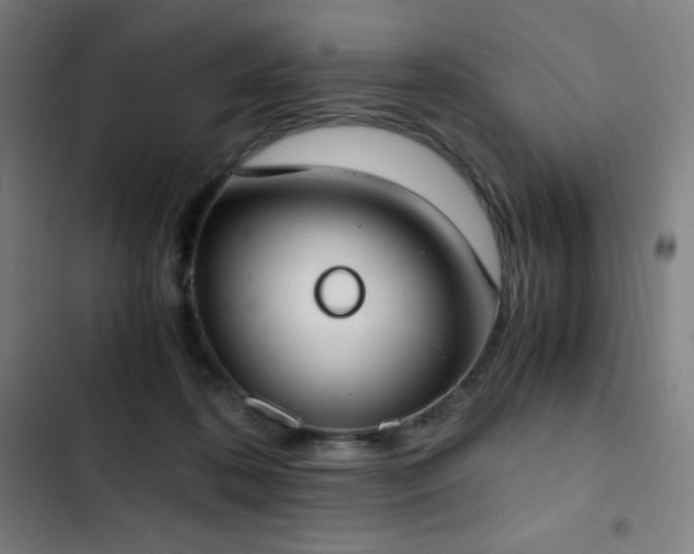 X0000103330316200809051216