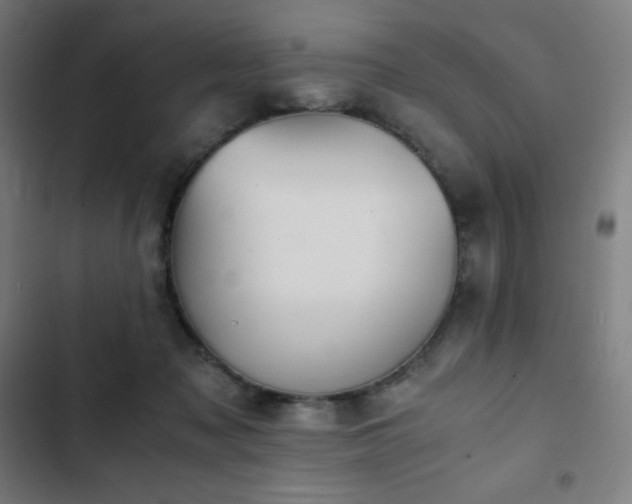 X0000103330317200809051216