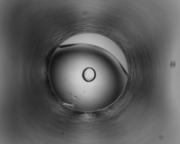 X0000103330320200809051216