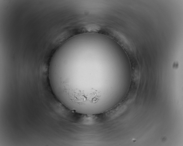 X0000103330321200809051216