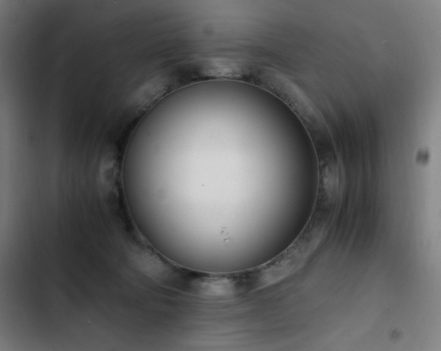 X0000103330322200809051216