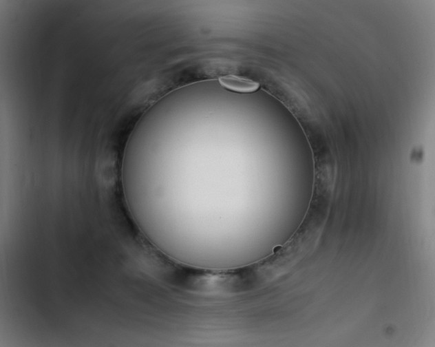 X0000103330323200809051216