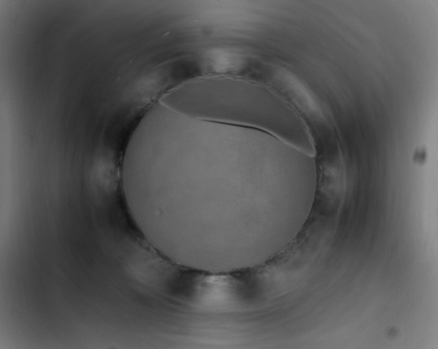 X0000103330324200809051216