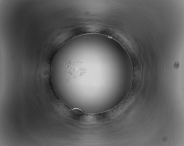 X0000103330325200809051216