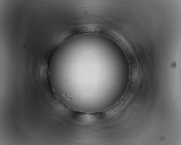 X0000103330326200809051216