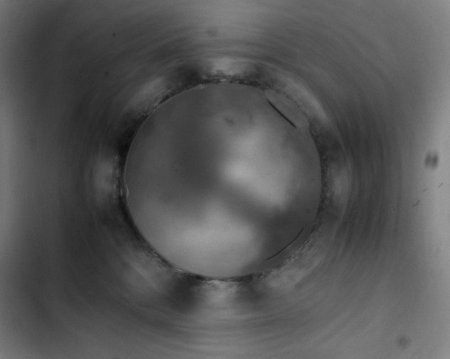 X0000103330328200809051216