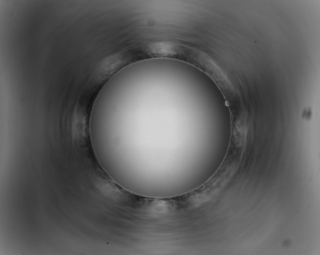 X0000103330330200809051216