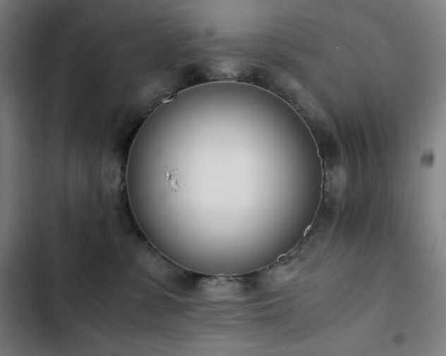 X0000103330331200809051216