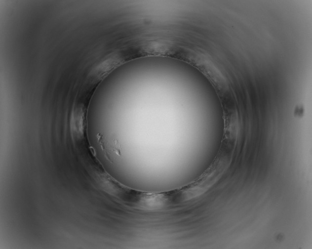 X0000103330334200809051216