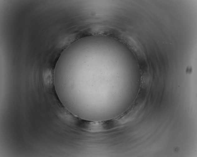 X0000103330335200809051215