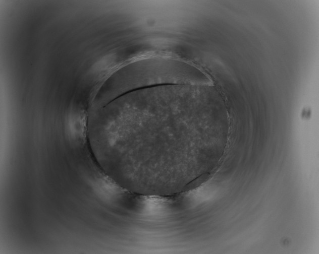 X0000103330336200809051215