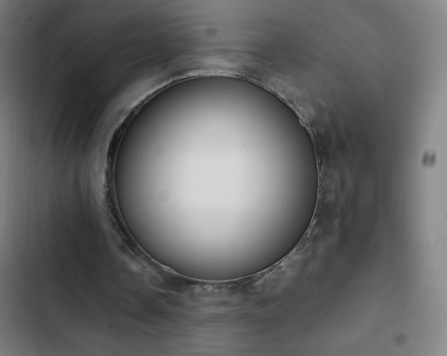 X0000103330338200809051214