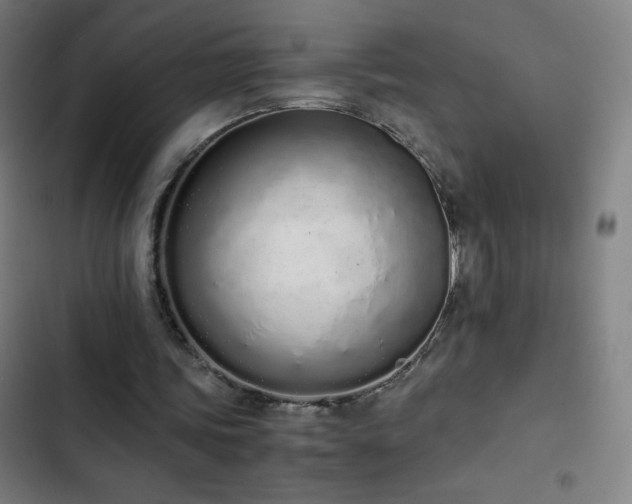 X0000103330339200809051215