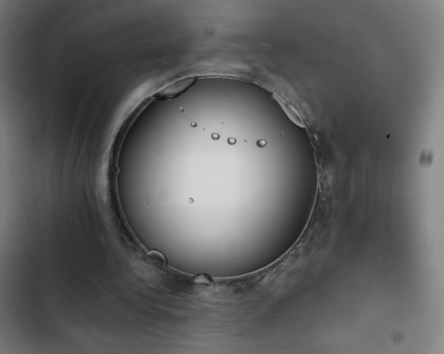 X0000103330340200809051215