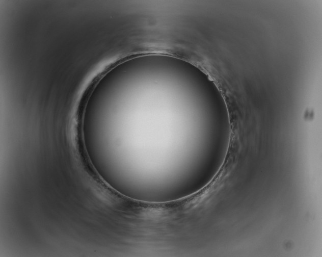 X0000103330342200809051215