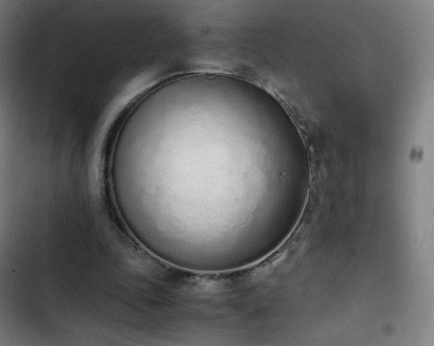 X0000103330343200809051215