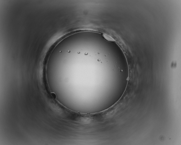 X0000103330344200809051215