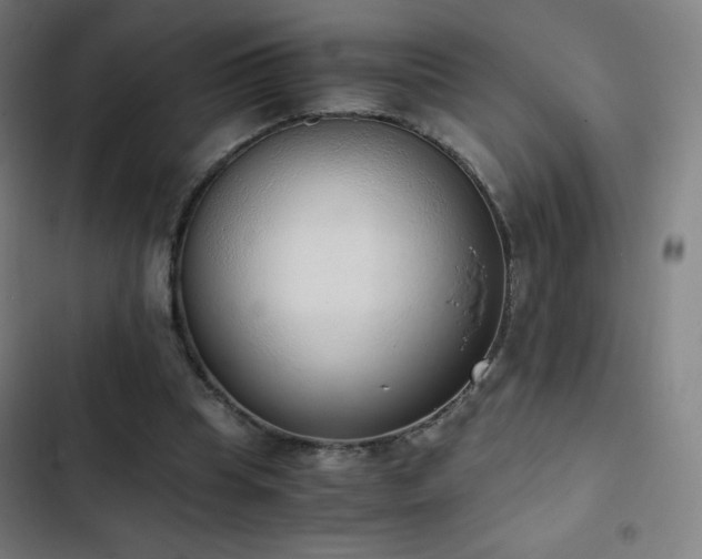 X0000103330345200809051215