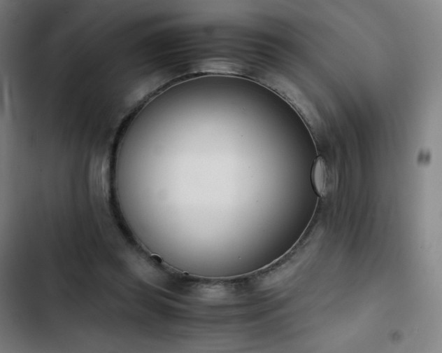 X0000103330349200809051215