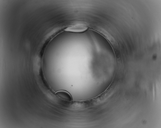 X0000103330350200809051215