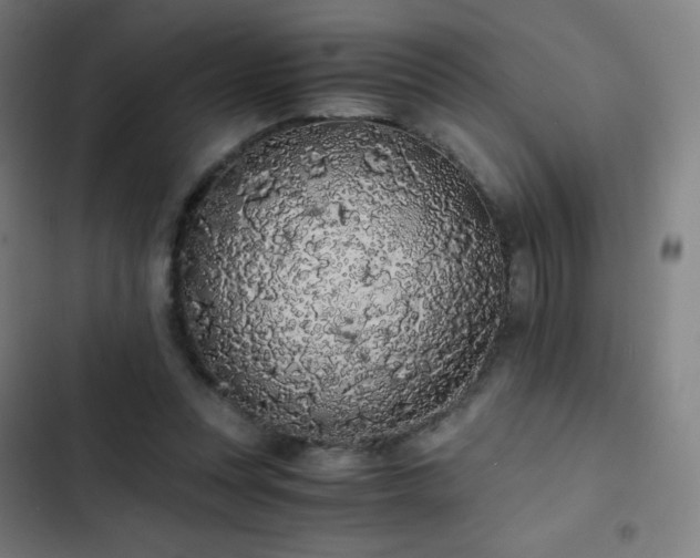 X0000103330351200809051215