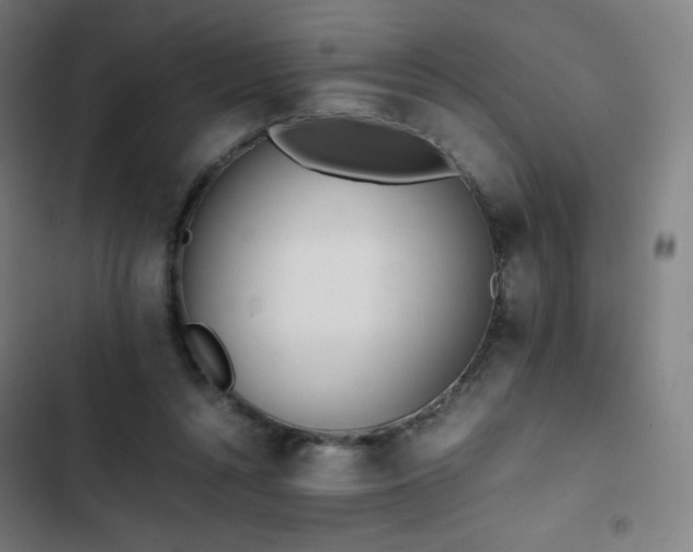 X0000103330352200809051215