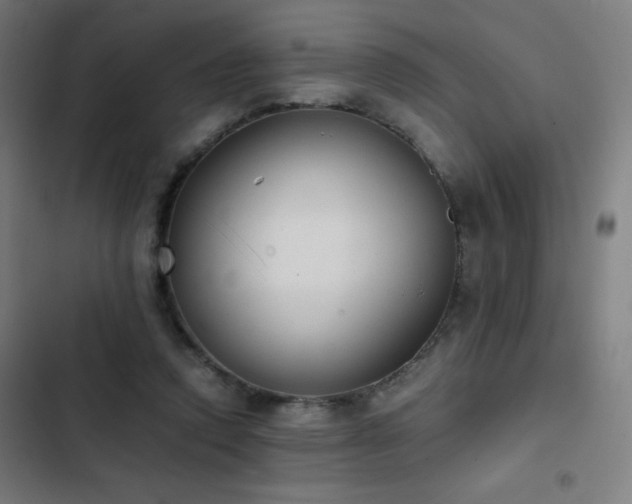 X0000103330354200809051215