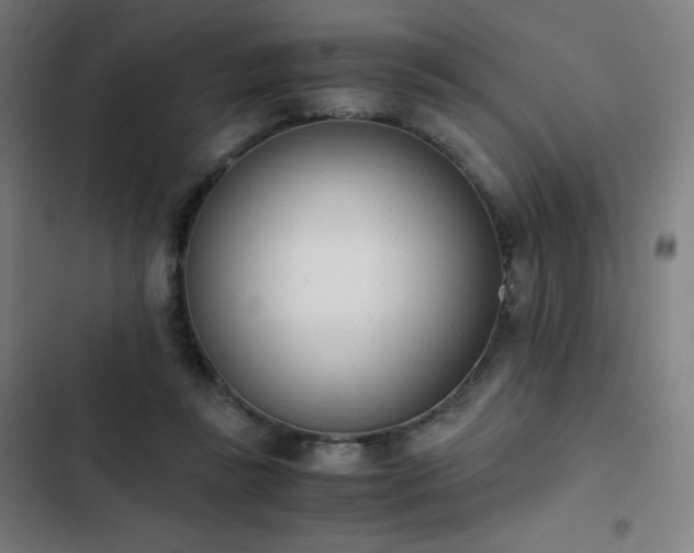 X0000103330355200809051215