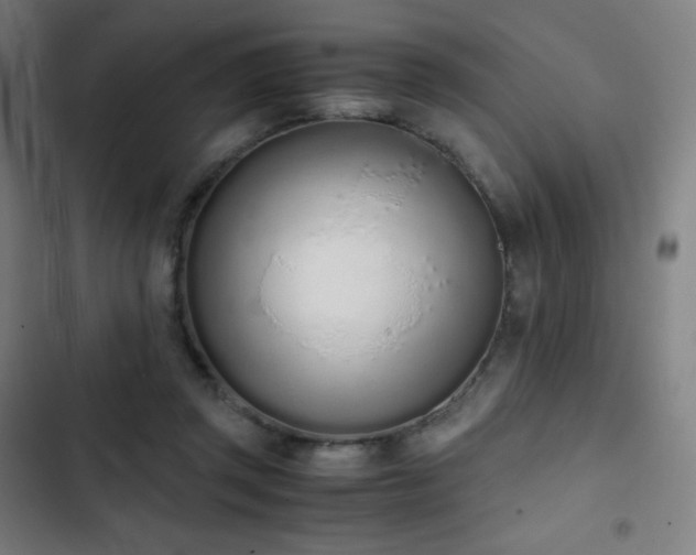 X0000103330357200809051215