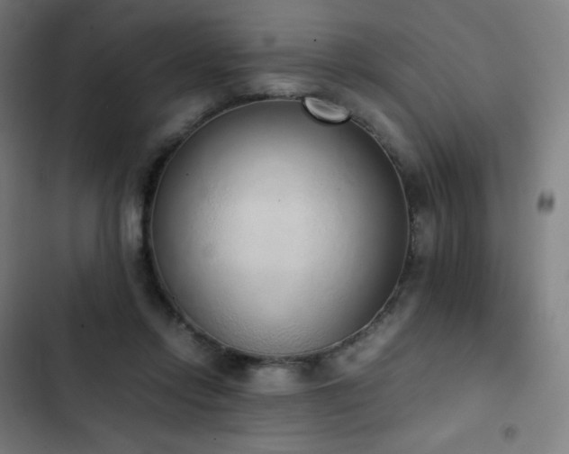 X0000103330358200809051215