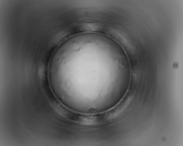 X0000103330359200809051215