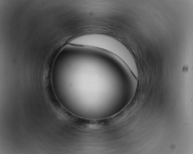 X0000103330360200809051215