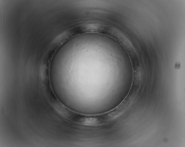 X0000103330361200809051215